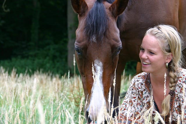 horses-4173019_640