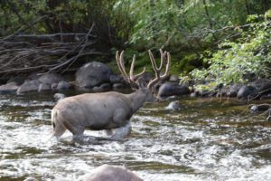 Photo-21