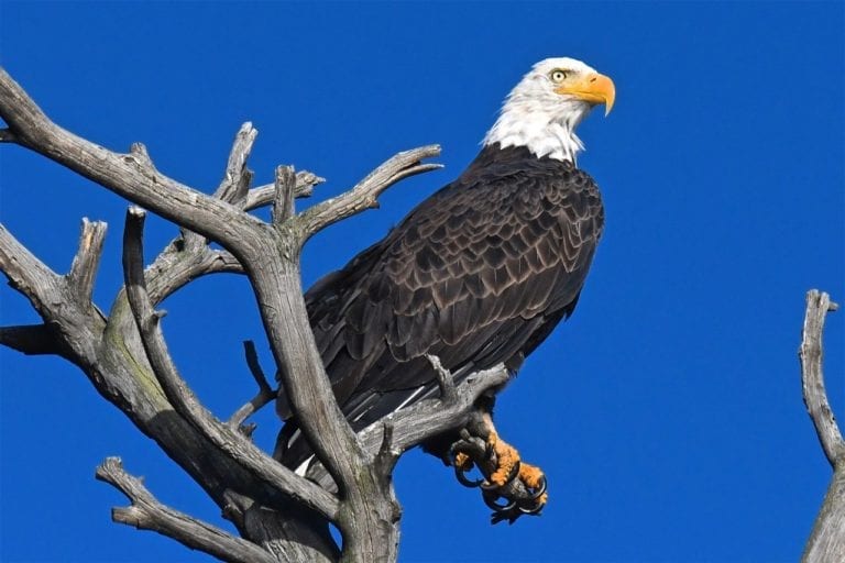 _JIM2556 - Version 2
